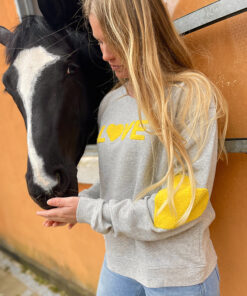 grey/yellow sweat