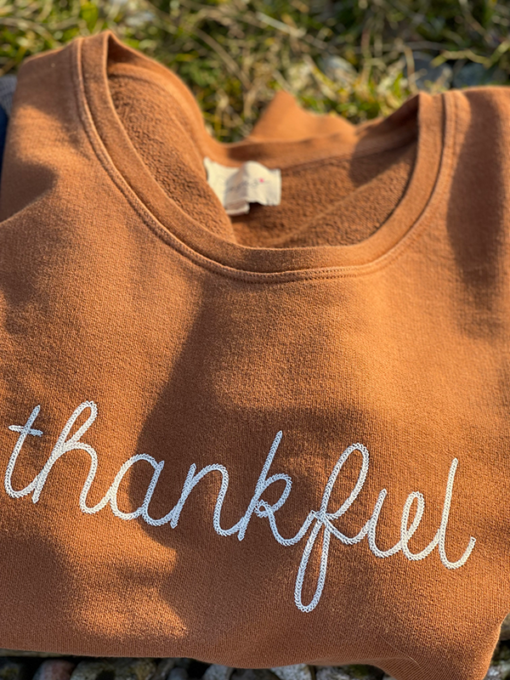 sweat shirt